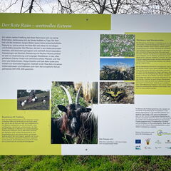 23-03-17 14-27-45 4920